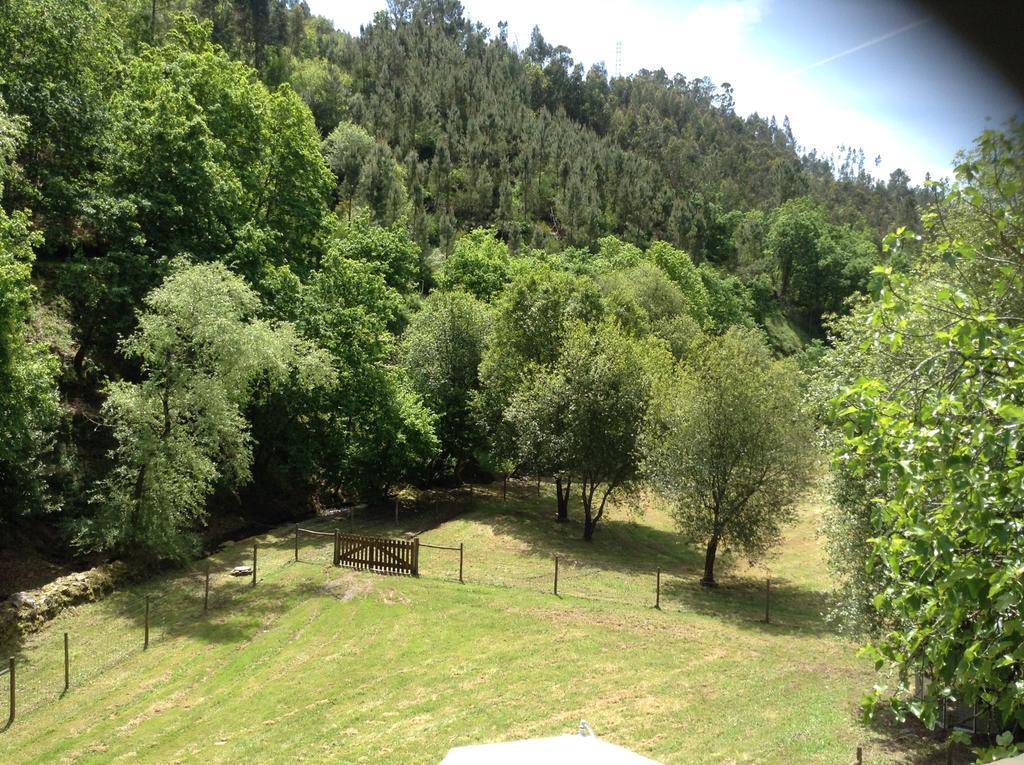 Saberamar Little Country * Arouca