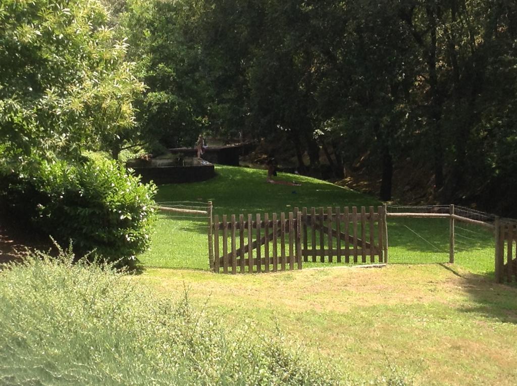 Hébergement de vacances Saberamar Little Country