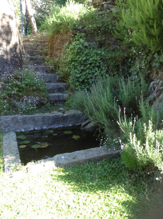 Hébergement de vacances Saberamar Little Country